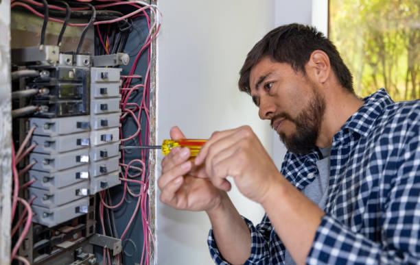 Best Electrical Troubleshooting and Repair  in Livonia, MI